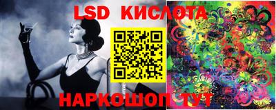 шишки Кимры