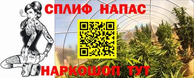 гашиш Кингисепп