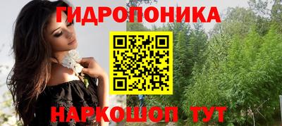 шишки Кимры