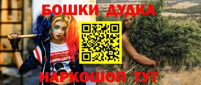 гашиш Кингисепп