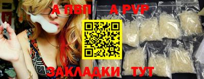 шишки Кимры