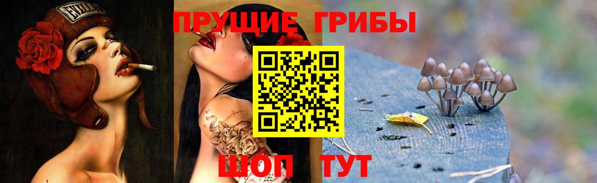 купить  сайты  Псилоцибиновые грибы мицелий  Вход с VPN  Усть-Лабинск 